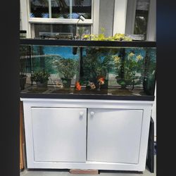 75 gallon tank with eveyrhting you need
