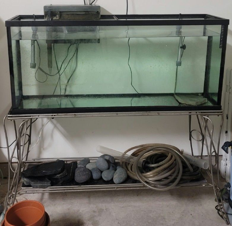 fish aquarium