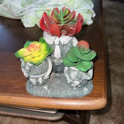 Succulents And Planter