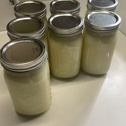 Grass feed tallow