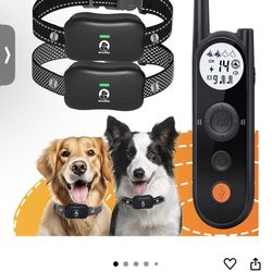 Dog Training Collar