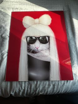 Lady Gaga Tempered art glass panel from pets rock (Fashion)