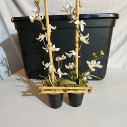 Decorative  Artificial Orchid Plant