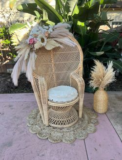 PEACOCK CHAIRS AND MORE🦚