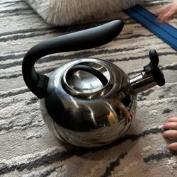 Stainless Steel Kettle