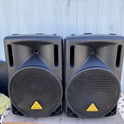 Two 12” Passive Berlinger Speakers 