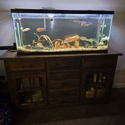 55 Gal Fish Tank With Stand All Included 