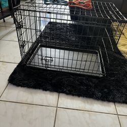 medium dog crate and harnesses 