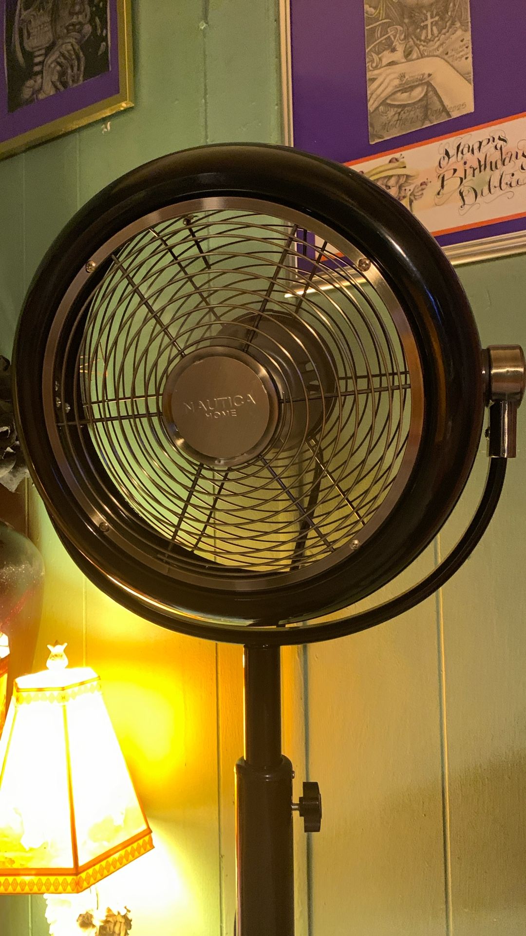 Designer Fan 10 In