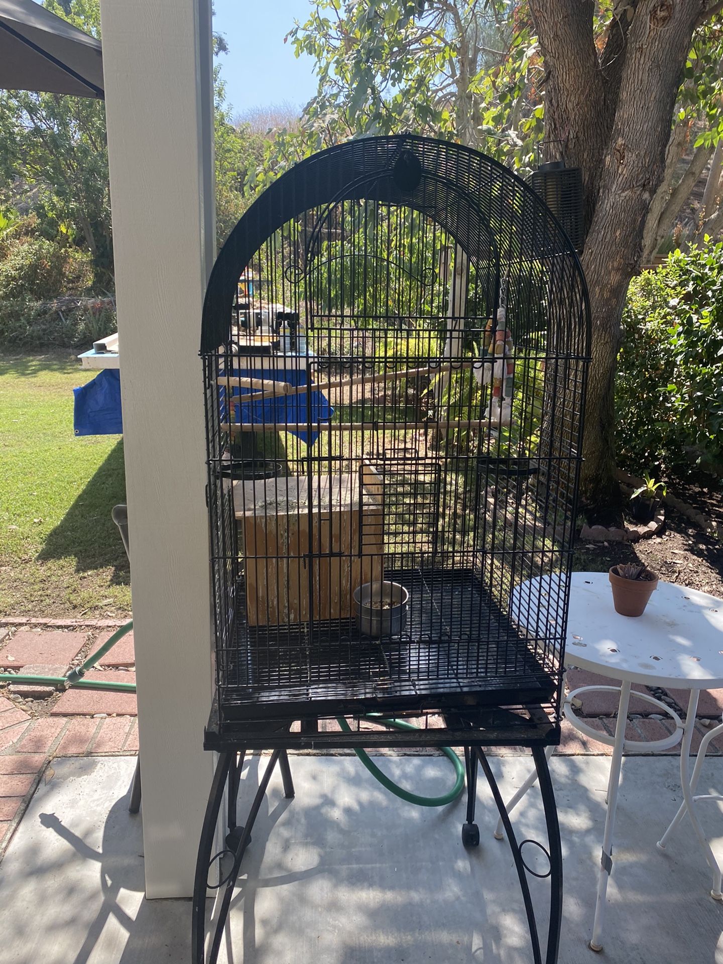 Bird Metal Cage
