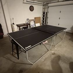 Ping Pong Table