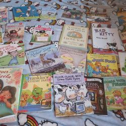 Kids Book Lot Over 25 Books