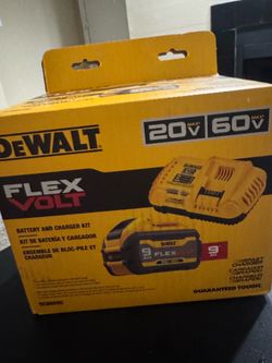 Dewalt battery and charger