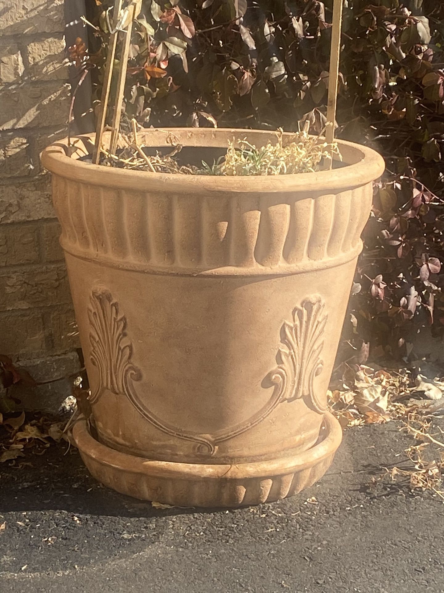 Flower Pot Foam
