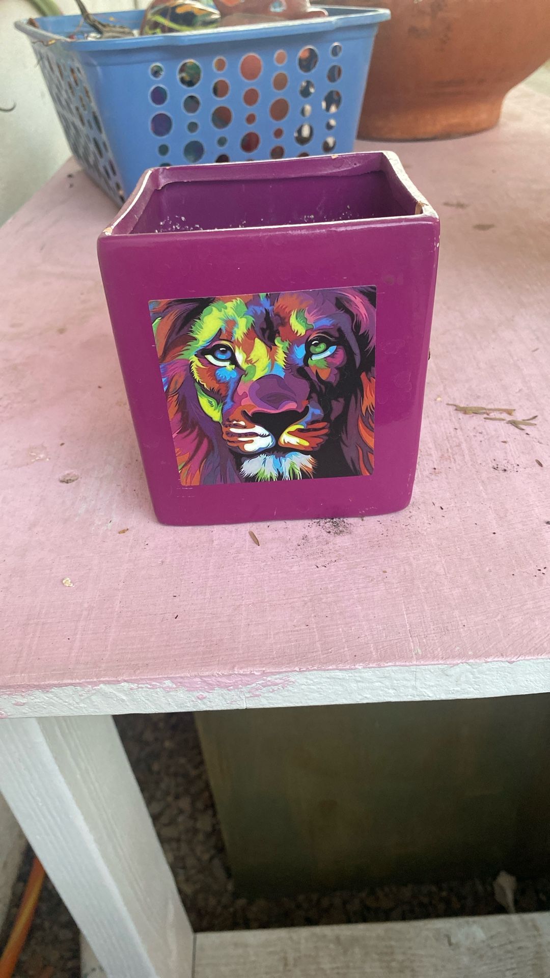 Purple Ceramic Garden Pot With Rainbow Lion 5$