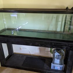 125 Gallon Aquarium Fish Tank, Stand, Canister Filter