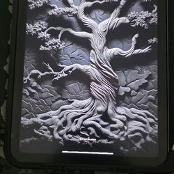 iPad mini 6