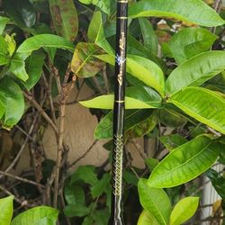 Biscayne Rod - Spinning Fishing Rod