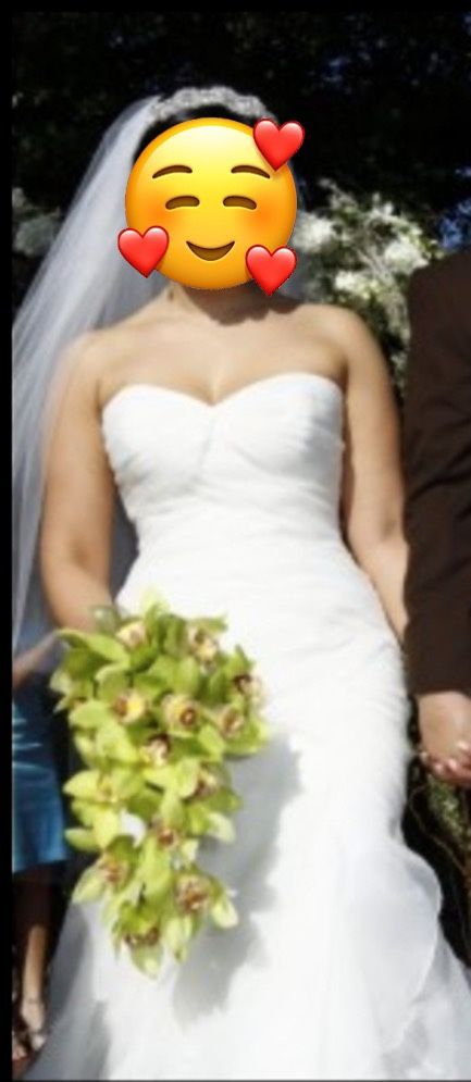 Tasteful + Fine Wedding Dress