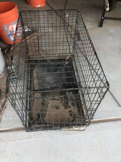 Dog kennel