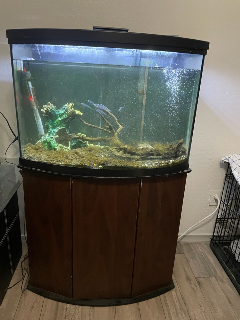 36 Gallon Bow Front Aquarium And Stand 