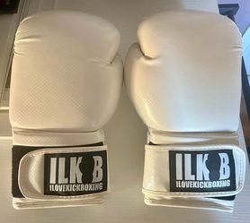 Kickboxing Boxing Gloves