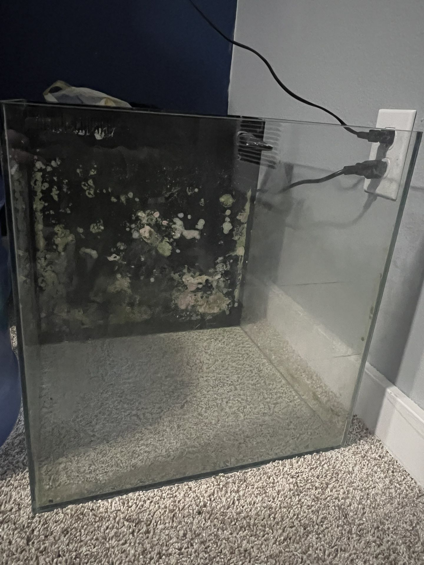 20G Saltwater cube tank