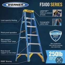 Werner FS100 Series Ladder