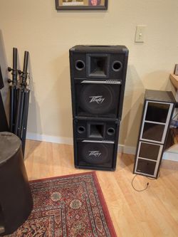 10 Inch Peavey Speakers
