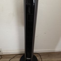 Fan 