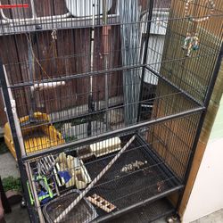 Big Parrot Cage Used