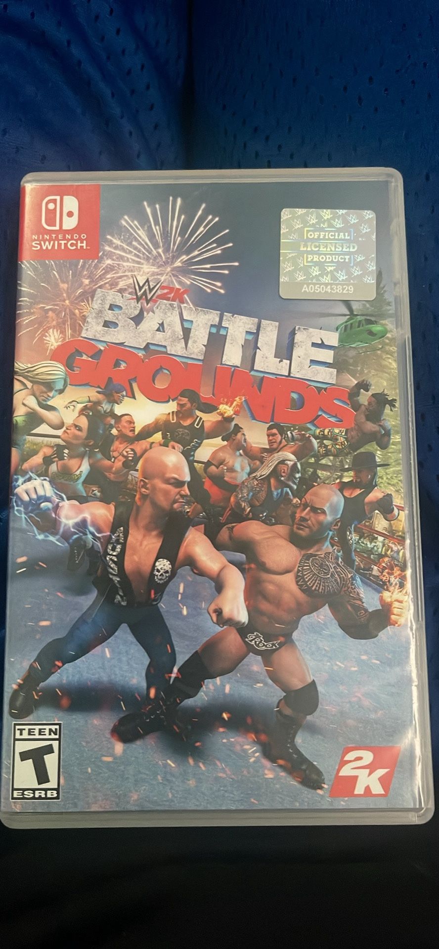 WWE 2k Battlegrounds Nintendo Switch
