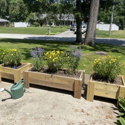 Wood Planter Boxes 