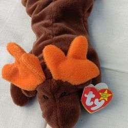 Collectible Chocolate The Moose Beanie Baby