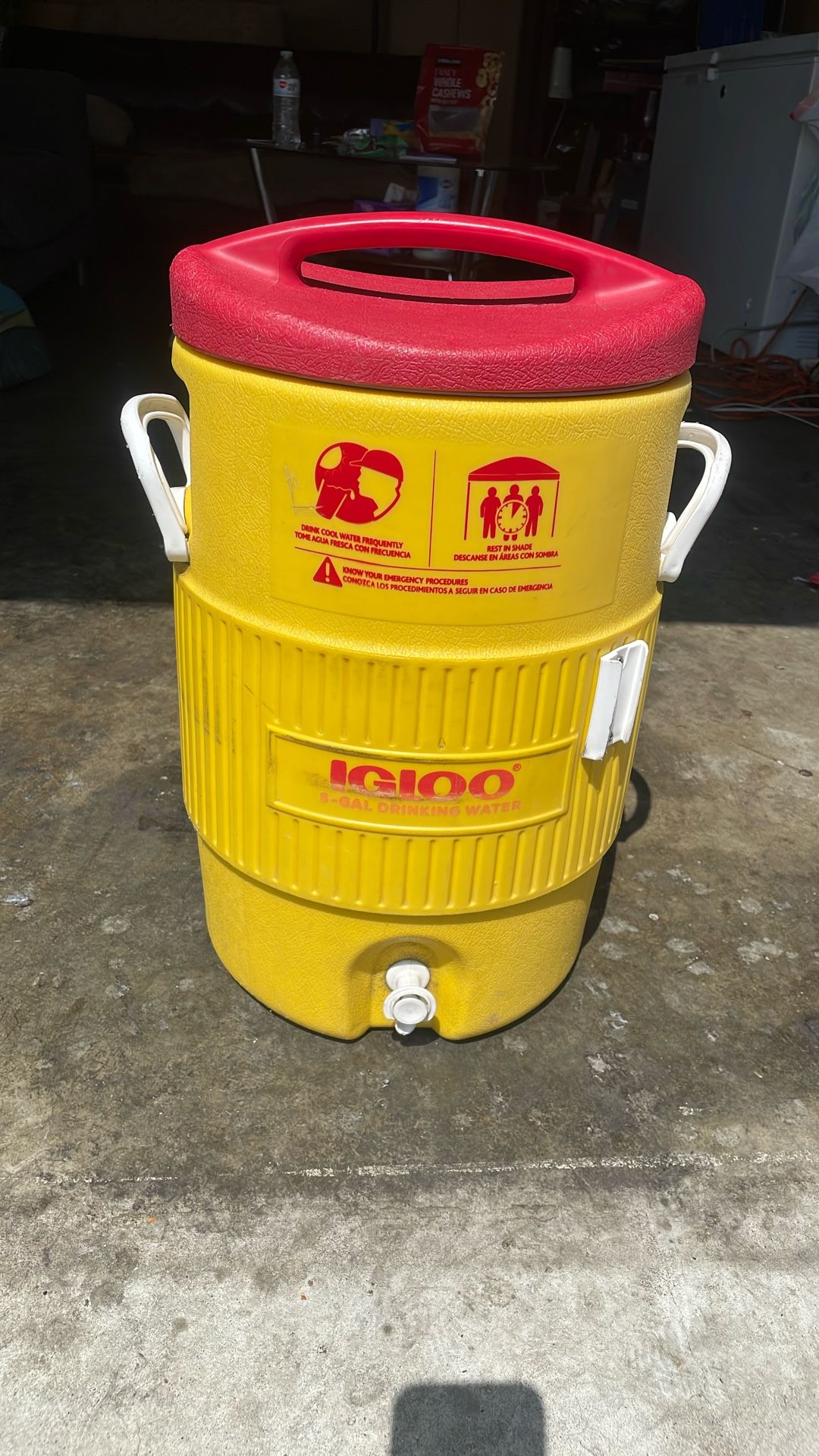 Igloo Water Jug