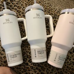 Stably Cup 