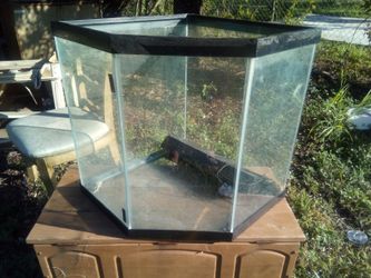 Large fish tank 🐟