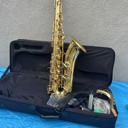 Beautiful 😻 Tenor Alto Saxophone 🎷 