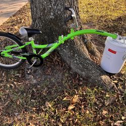 Wee Ride Copilot Bike Trainer. Tag A Long 20” Great For Training Littles To Balance