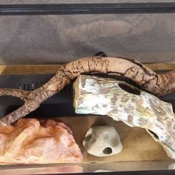 10 Gallon Glass Reptile/Fish Tank
