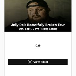 Jellyroll Concert Tickets For Tonight 9/1/24 @7pm