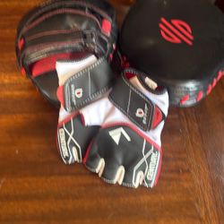 Boxing Mits