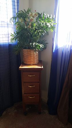 Bendo este mueblesito con la planta