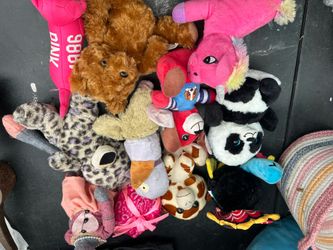 Bundle of Plush Dog Toys – Squeaky & Soft Toys Lot