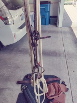 Pat Parelli Hackamore