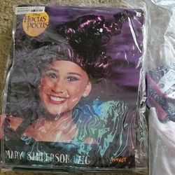 Hocus Pocus Mary Costume 