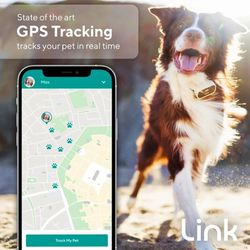 Link GPS Dog Tracker + Activity Monitor | Training Tools, Health Tracker, Waterproof, Flashlight, Lightweight, PetPass & Vet Record Storage, Fits On M