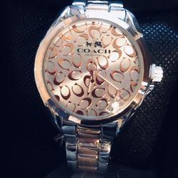 Gold/silver Watch