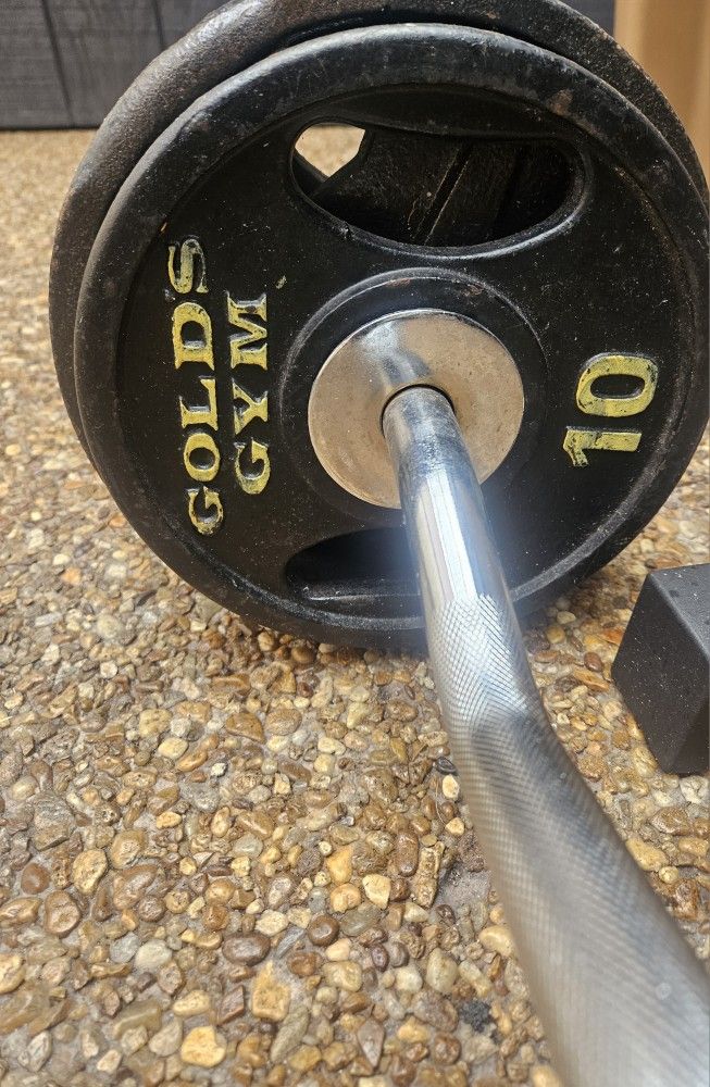 Curl Barbell
