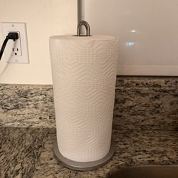 Stainless Steel Paper Towel Holder